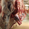 Carcasses hanging in slaughterhouse